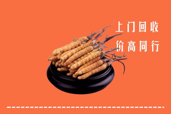 高价求购：常州回收散虫草