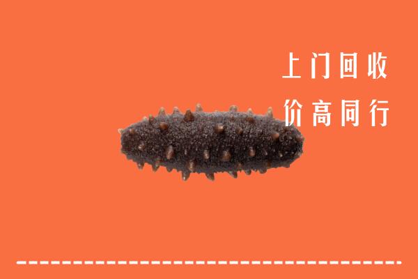 高价求购：常州回收海参