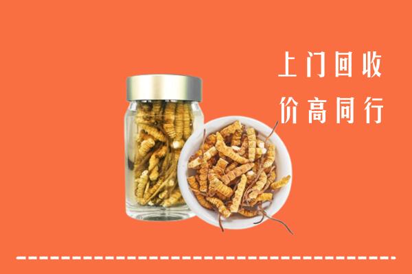 常州回收冬虫夏草