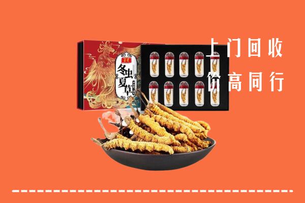 常州回收虫草